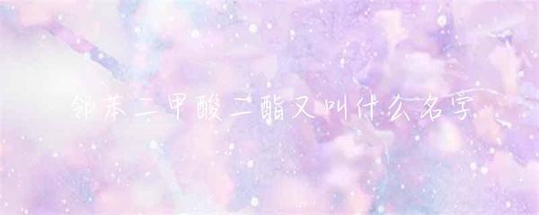 鄰苯二甲酸二酯又叫什么名字