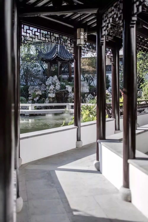 邱德光談花語(yǔ)江南的設(shè)計(jì) 非業(yè)主價(jià)值